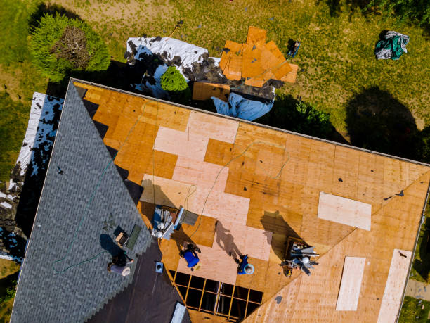 Best Roof Maintenance Services  in Lake Junaluska, NC